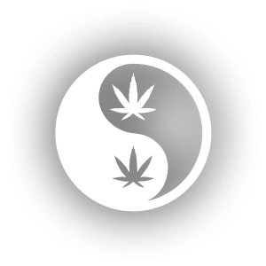 Ying Yang Araba Sticker 17x17 Cm Beyaz