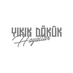 Yıkık Dökük Hayatlar Araba Sticker 17x17 Cm Gri