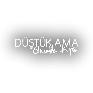 Düştük Ama Ölmedik Kıps Araba Sticker 17x17 Cm Beyaz