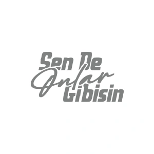 Sen de Onlar Gibisin Araba Sticker 17x17 Cm Gri