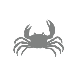 Yengeç Araba Sticker 17x17 Cm Gri