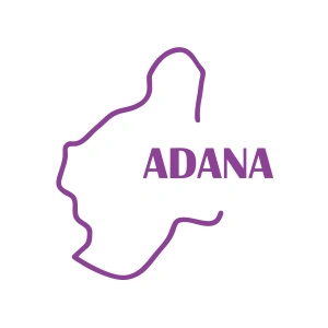 Adana Harita Araba Sticker 17x17 Cm Mor