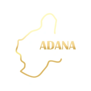 Adana Harita Araba Sticker 17x17 Cm Gold