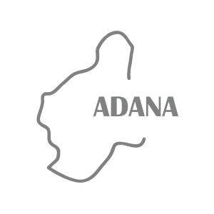 Adana Harita Araba Sticker 17x17 Cm Gri