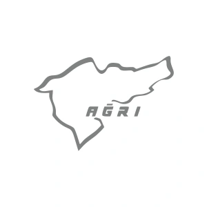 Ağrı Araba Sticker 17x17 Cm Gri