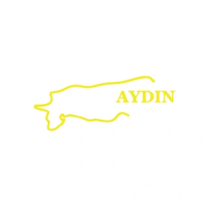 Aydın Harita Araba Sticker 17x17 Cm Sarı
