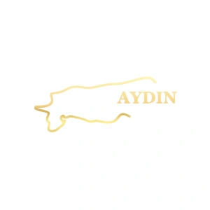 Aydın Harita Araba Sticker 17x17 Cm Gold