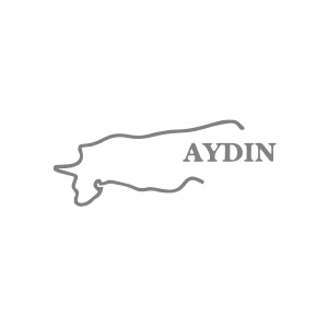Aydın Harita Araba Sticker 17x17 Cm Gri