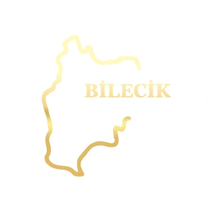 Bilecik Harita Araba Sticker 17x17 Cm Gold