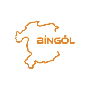 Bingöl Harita Araba Sticker 17x17 Cm Turuncu