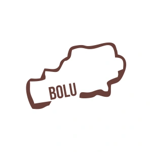 Bolu Harita Araba Sticker 17x17 Cm Kahverengi