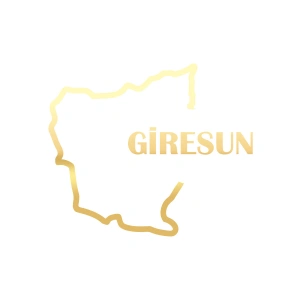 Giresun Harita Araba Sticker 17x17 Cm Gold