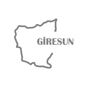 Giresun Harita Araba Sticker 17x17 Cm Gri