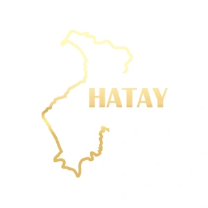 Hatay Harita Araba Sticker 17x17 Cm Gold