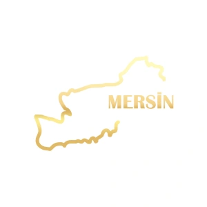 Mersin Harita Araba Sticker 17x17 Cm Gold