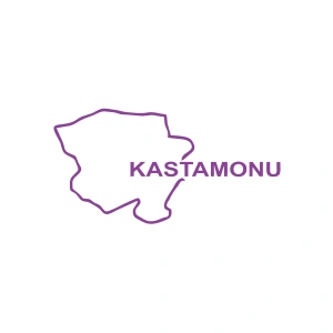 Kastamonu Harita Araba Sticker 17x17 Cm Mor