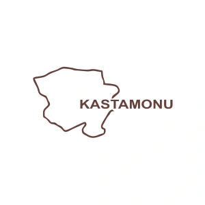 Kastamonu Harita Araba Sticker 17x17 Cm Kahverengi