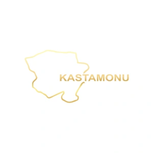 Kastamonu Harita Araba Sticker 17x17 Cm Gold