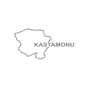 Kastamonu Harita Araba Sticker 17x17 Cm Gri