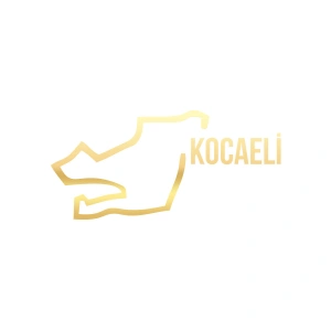Kocaeli Harita Araba Sticker 17x17 Cm Gold
