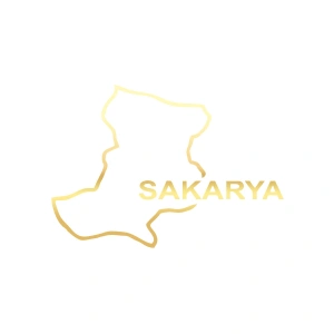 Sakarya Harita Araba Sticker 17x17 Cm Gold