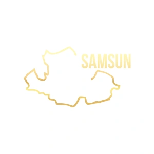 Samsun Harita Araba Sticker 17x17 Cm Gold