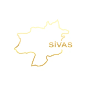 Sivas Harita Araba Sticker 17x17 Cm Gold