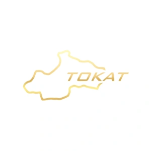 Tokat Harita Araba Sticker 17x17 Cm Gold
