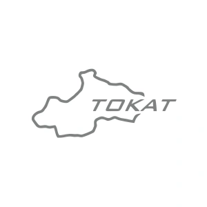 Tokat Harita Araba Sticker 17x17 Cm Gri