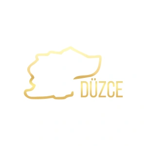 Düzce Harita Araba Sticker 17x17 Cm Gold
