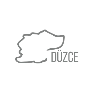 Düzce Harita Araba Sticker 17x17 Cm Gri