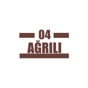 04 Ağrılı Araba Sticker 17x17 Cm Kahverengi