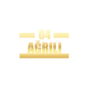 04 Ağrılı Araba Sticker 17x17 Cm Gold