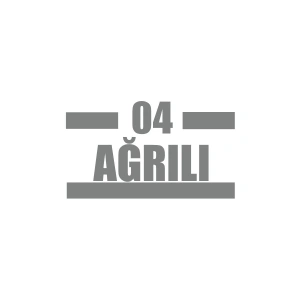 04 Ağrılı Araba Sticker 17x17 Cm Gri