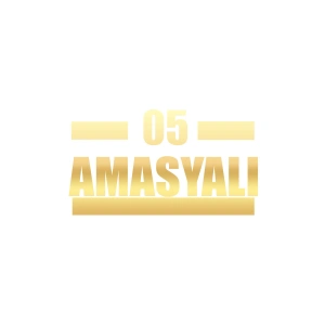 05 Amasyalı Araba Sticker 17x17 Cm Gold