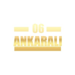 06 Ankaralı Araba Sticker 17x17 Cm Gold