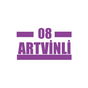 08 Artvinli Araba Sticker 17x17 Cm Mor