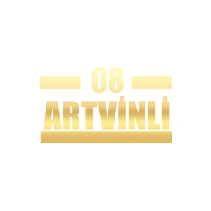 08 Artvinli Araba Sticker 17x17 Cm Gold