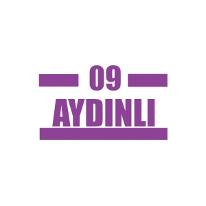 09 Aydınlı Araba Sticker 17x17 Cm Mor
