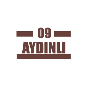 09 Aydınlı Araba Sticker 17x17 Cm Kahverengi