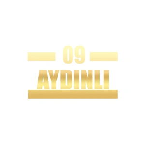09 Aydınlı Araba Sticker 17x17 Cm Gold