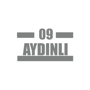 09 Aydınlı Araba Sticker 17x17 Cm Gri