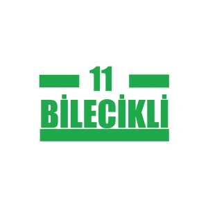 11 Bilecikli Araba Sticker 17x17 Cm Yeşil