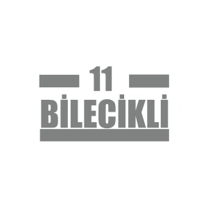 11 Bilecikli Araba Sticker 17x17 Cm Gri