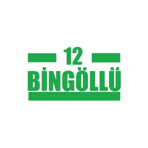 12 Bingöllü Araba Sticker 17x17 Cm Yeşil