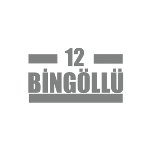 12 Bingöllü Araba Sticker 17x17 Cm Gri