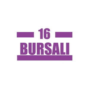 16 Bursalı Araba Sticker 17x17 Cm Mor
