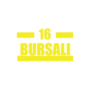 16 Bursalı Araba Sticker 17x17 Cm Sarı
