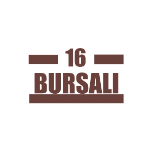 16 Bursalı Araba Sticker 17x17 Cm Kahverengi