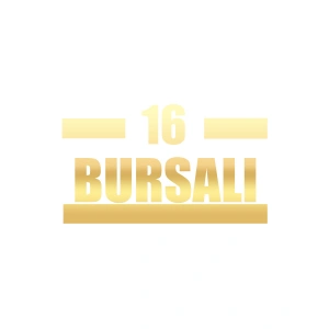 16 Bursalı Araba Sticker 17x17 Cm Gold